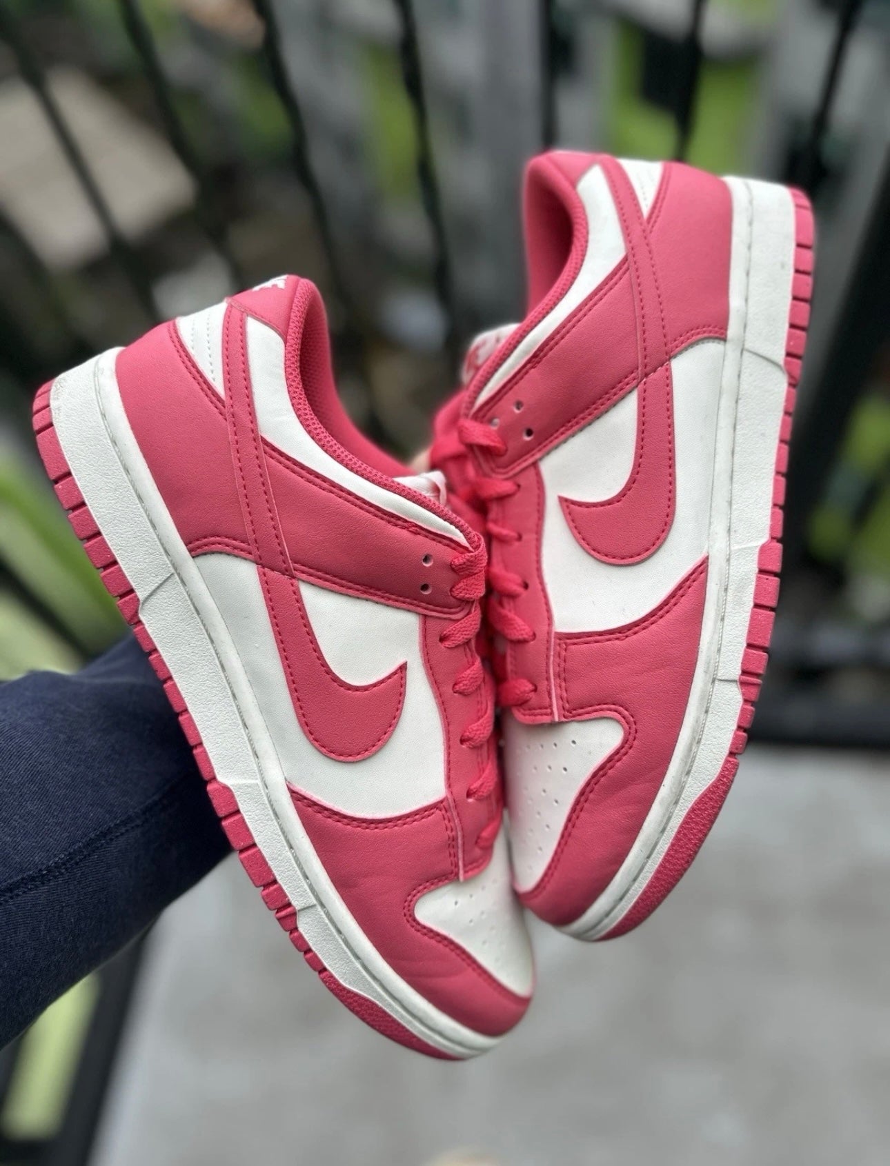 Nike Dunk Low Aster Pink
