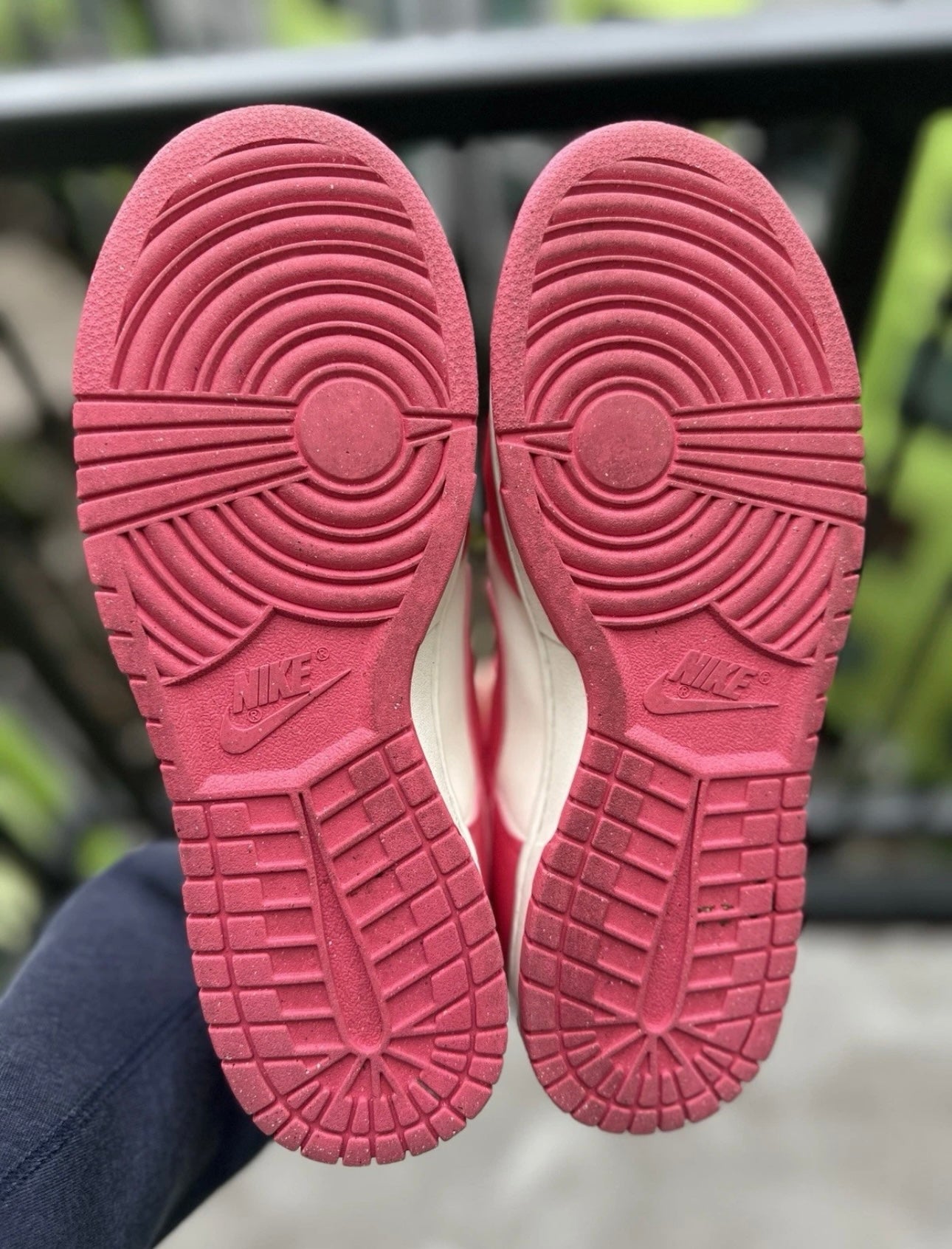 Nike Dunk Low Aster Pink