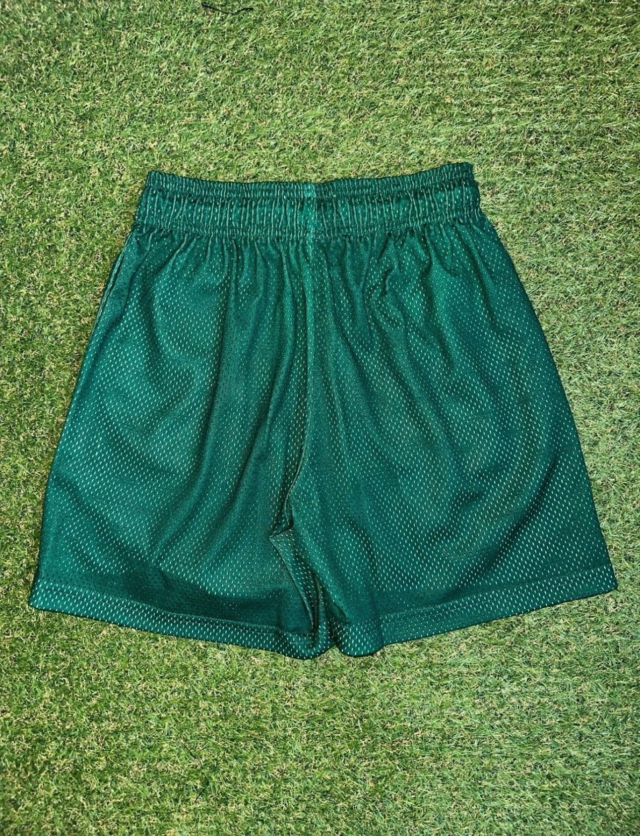 Eric Emanuel x University of Oregon Basic Shorts