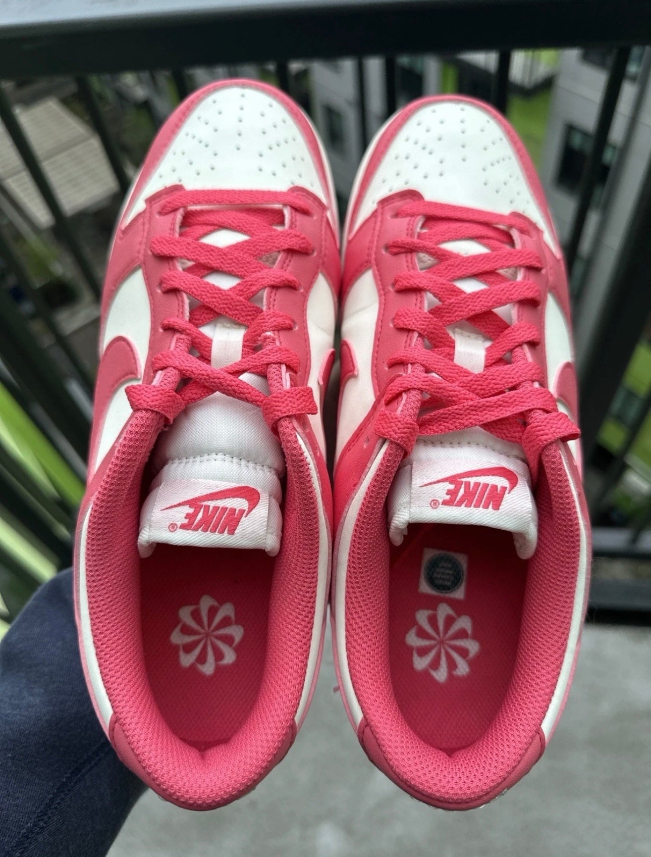 Nike Dunk Low Aster Pink
