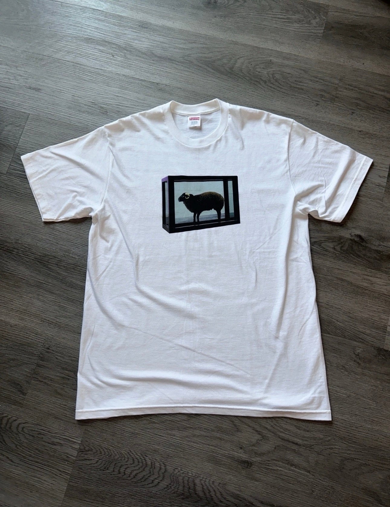 Supreme 2025 Damien Hirst Tee