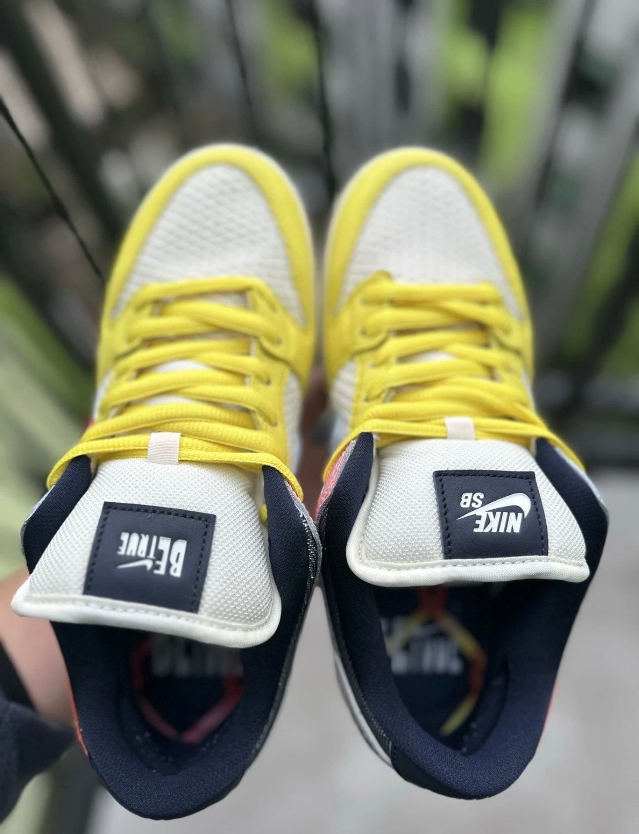 Nike SB Dunk Xavier Schipani Be True