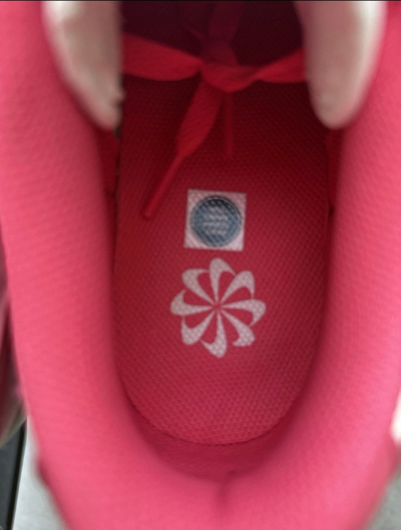 Nike Dunk Low Aster Pink